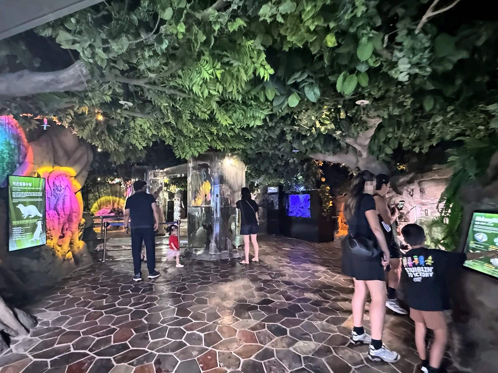 위례초 제주 수학여행 현장 사진 2